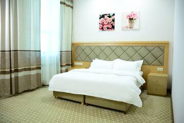 Двухместный номер Делюкс с 1 кроватью в Отеле Hotel Arai Plaza